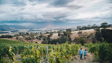 Caledon Estate