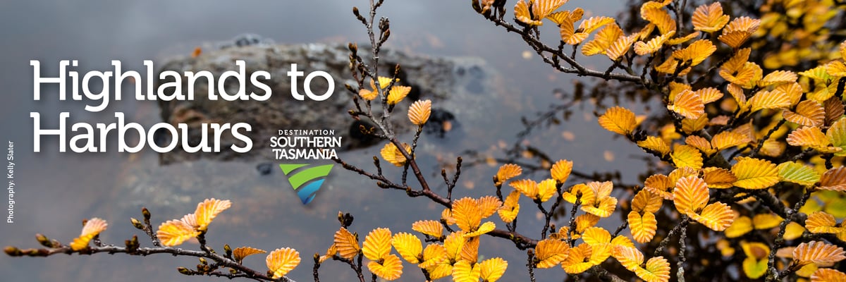 H2H Header Autumn 2019 #1-1