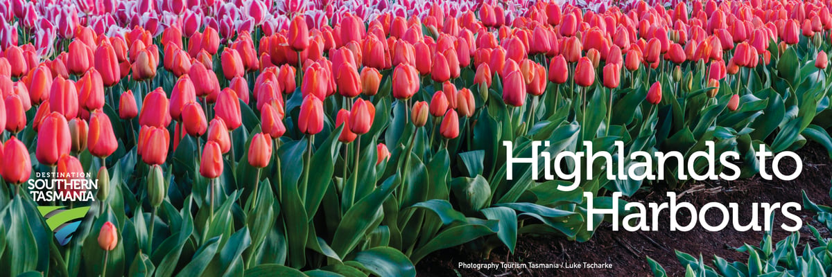H2H Header Spring 2018