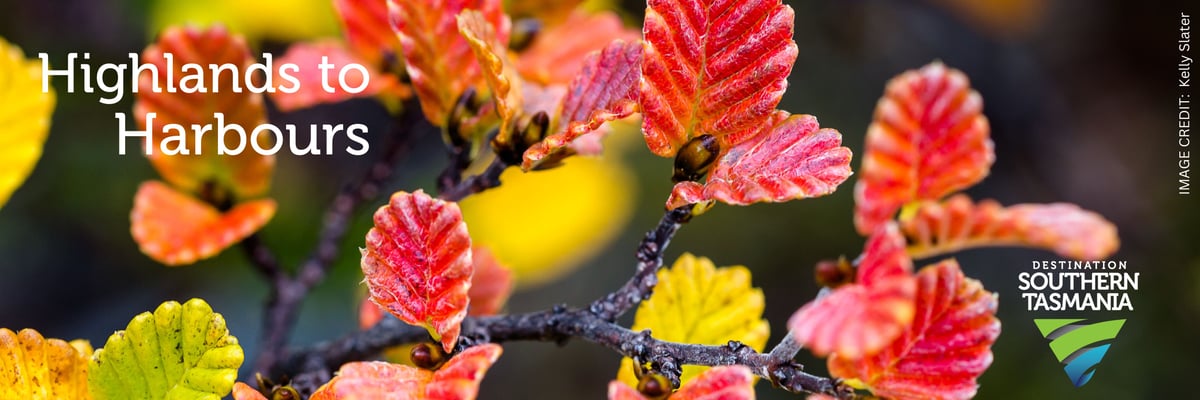 Highlands to Harbours - Autumn