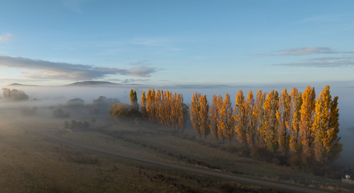 Overall Winner – Andrew Warner-Pano