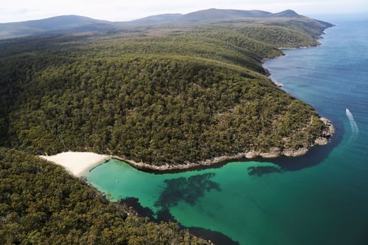 Three capes Track Denmans Cove credit Jesse Desjardins