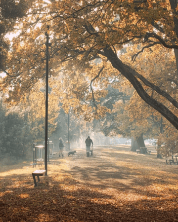 autumn