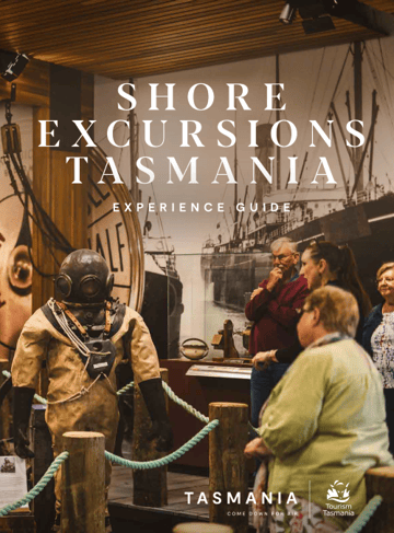 cruise guide