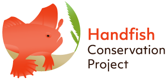 handfish-logo_smal