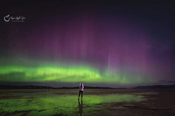 jill dayton aurora