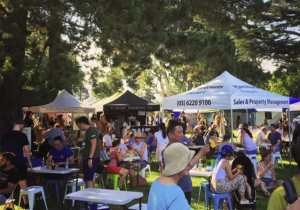 sumday market