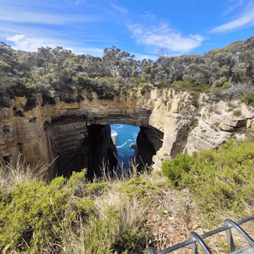 tasman arch