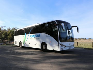 wynyard bus lines